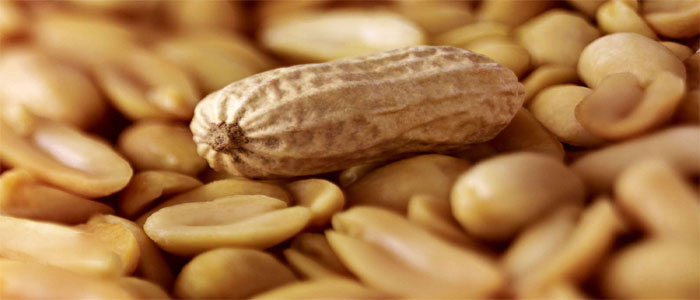 Peanuts