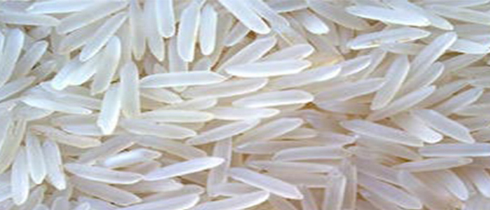 Basmati Rice
