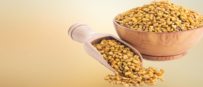 Fenugreek Seeds